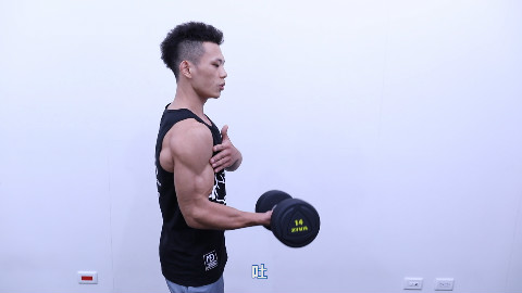 用哑铃正确锻炼二头肌的姿势